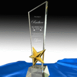Personalized Crystal Award, Star Trophy, Unique Gift for Manager ,Staff